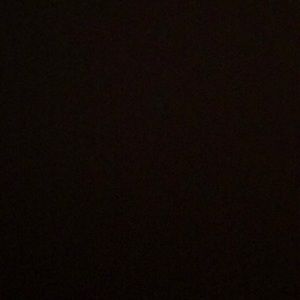 Meet your Posher, Ava